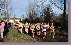 Begles 15.12.13 01 687 * 680 x 425 * (154KB)